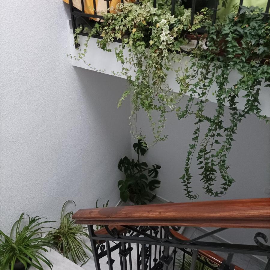 Appartamento Medina Baguh Priego de Córdoba Esterno foto